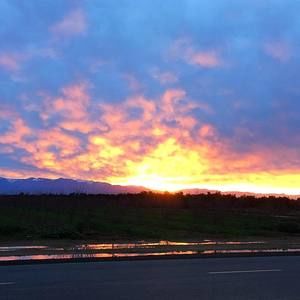 Meet your Posher, Ann